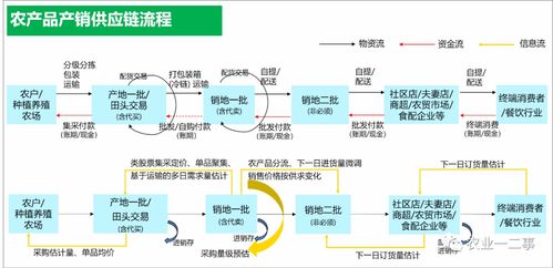 什么是真正的农产品供应链